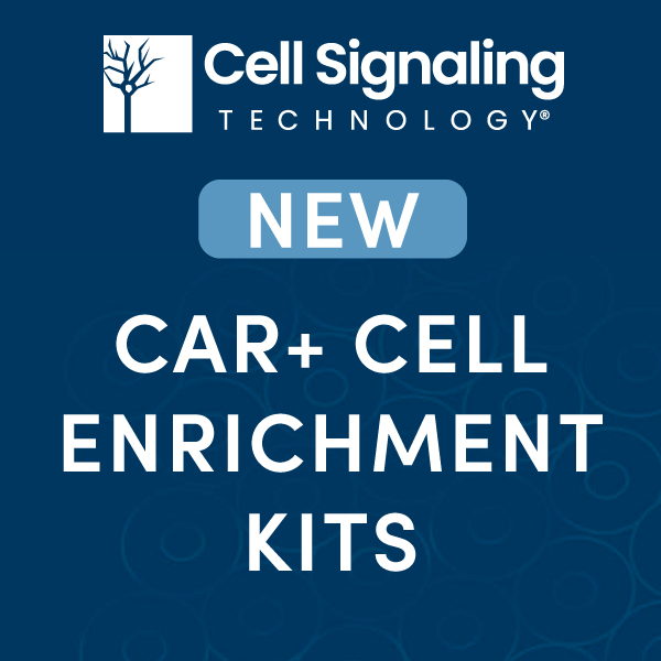 Cell Signaling Technology CAR Cell Enrichment Kit